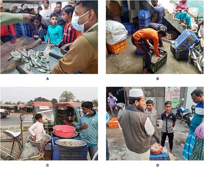 COVID-19 Induced Child Entrepreneurship in Shrimp Value Chain in Bangladesh